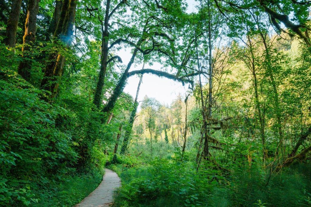 Purple Retreats - Luxury Yurt & Portland